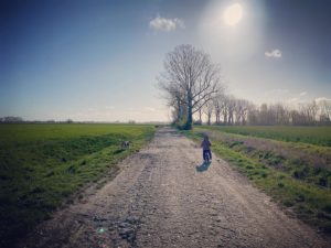 Read more about the article Zuhause mit Kind: Tag 28 – Morgendliche Hunderunde